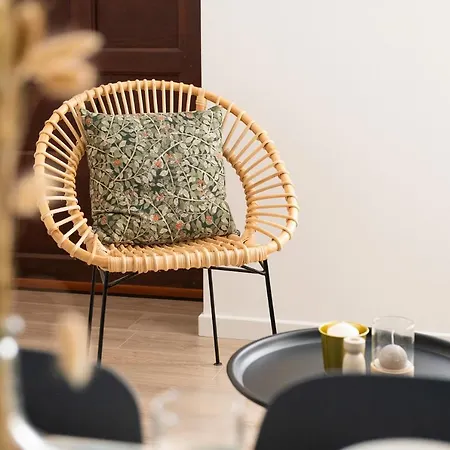 Appartement Stylish Duo : T2 Lumineux Au Cœur De